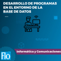 DESARROLLO BASE DE DATOS Flo Formación