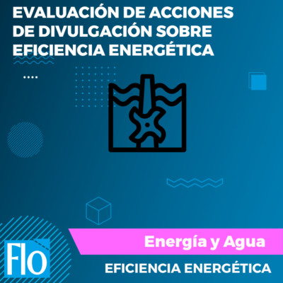 EVALUACIÓN DE ACCIONES EE Flo Formación