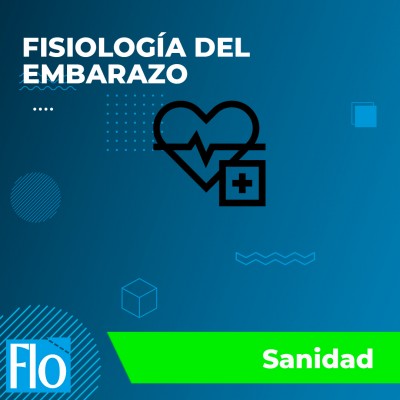 FISIOLOGÍA DEL EMBARAZO Flo Formación