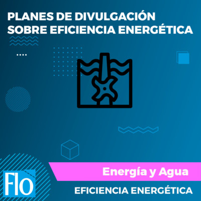 PLANES DE DIVULGACIÓN EE Flo Formación