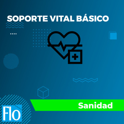 SOPORTE VITAL BÁSICO Flo Formación