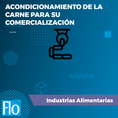 ACONDICIONAMIENTO CARNE COMERZIALIZACIÓN Flo Formación