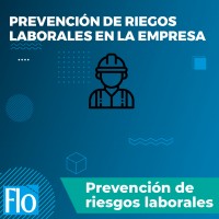 PREVENCIÓN DE RIESGOS LABORALES EN LA EMPRESA Flo Formación