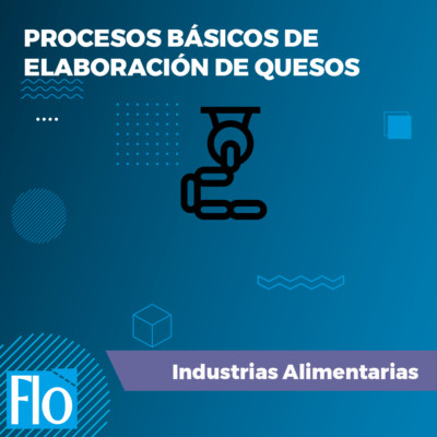 PROCESOS BÁSIOS E. QUESOS Flo Formación