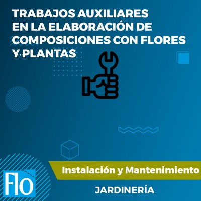TRABAJOS AUXILIARES Flo Formación