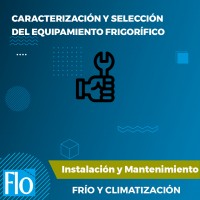 CARACTERIZACIÓN Y SELECCIÓN Flo Formación