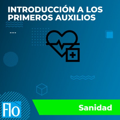 INTRODUCCIÓN ALOS PRIMEROS AUXILIOS Flo Formación