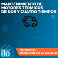 MANTENIMIENTO DE MOTORES TÉRMICOS Flo Formación