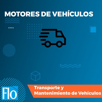 MOTORES DE VEHICULOS Flo Formación