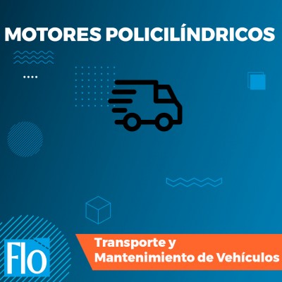 MOTORES POLICILÍNDRICOS Flo Formación