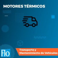 MOTORES TÉRMICOS Flo Formación