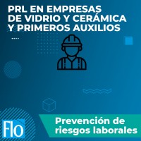 Flo Formación - PRL EN EMPRESAS DE VIDRIO Y CERAMICA Flo Formacion