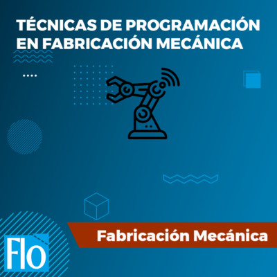TÉCNICAS DE PROGRAMACIÓN F. M. Flo Formación