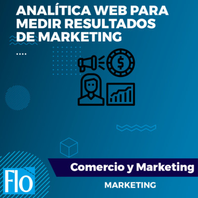 ANÁLITICA WEB Flo Formación