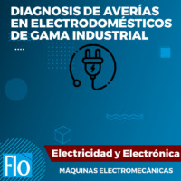 DIAGNOSIOS DE AVERÍAS GAMA INDUSTRIAL Flo Formación