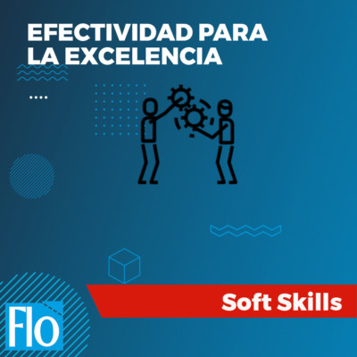 EFECTIVIDAD PARA LA EXCELENCIA Flo Formación