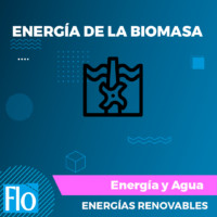 ENERGÍA DE LA BIOMASA Flo Formación