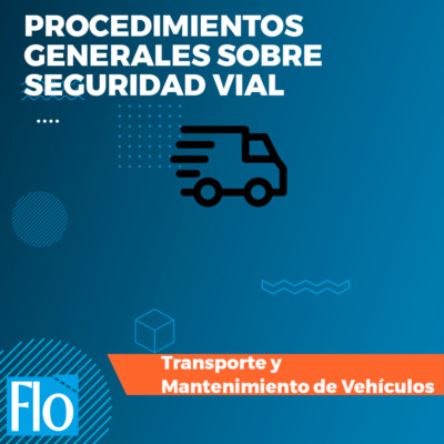 PROCEDIMIENTOS GENERALES SEGURIDAD VIAL Flo Formación