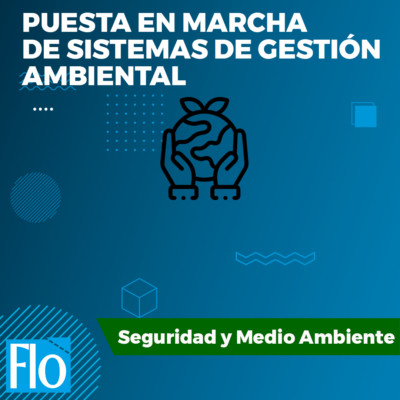 PUESTA EN MARCHA AMBIENTAL Flo Formación