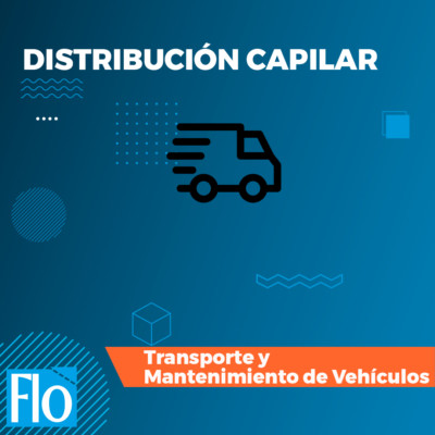 DISTRIBUCIÓN CAPILAR 1 Flo Formación