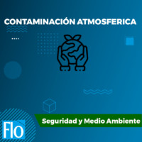 CONTAMINACIÓN ATMOSFERICA Flo Formación