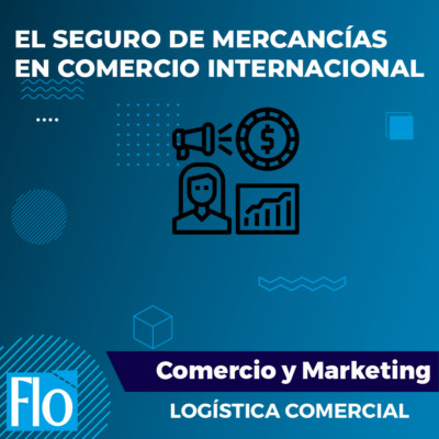 EL SEGURO DE MERCANCÍAS EN COMERCIO INTERNACIONAL Flo Formación