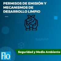 PERMISOS DE EMISIÓN Y MECANISMOS DE DESARROLLO LIMPIO Flo formacion