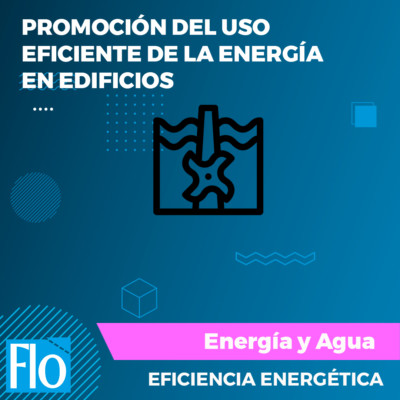 PROMOCIÓN DEL USO EFICIENTE DE LA ENERGÍA EN EDIFICIOS Flo Formación