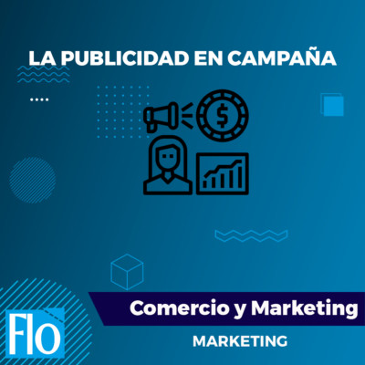 La Publicidad en Campaña Flo Formación