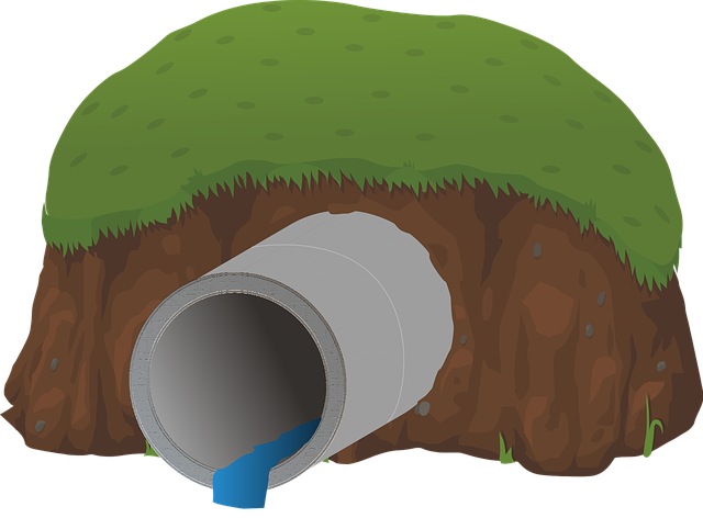 MINIMIZACIÓN DE VERTIDOS PARA EL DESARROLLO SOSTENIBLE Flo Formación