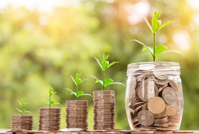 INICIACIÓN AL ANÁLISIS FINANCIERO DE LA EMPRESA Flo Formación