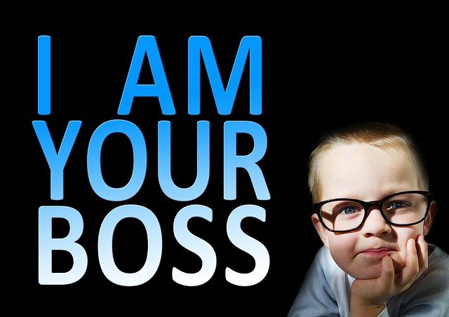 DIRECCION EMPRESARIAL PARA EMPRENDEDORES Flo Formación