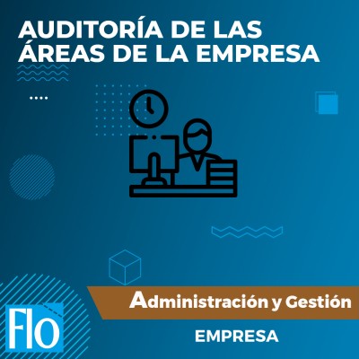 AUDITORÍA DE LAS ÁREAS DE LA EMPRESA Flo Formación