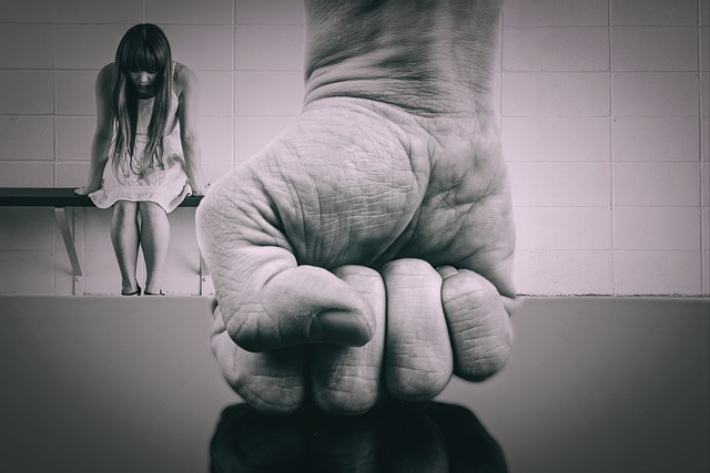 DETECCION Y ABORDAJE DE LA VIOLENCIA DE GENERO (CFC) Flo Formación