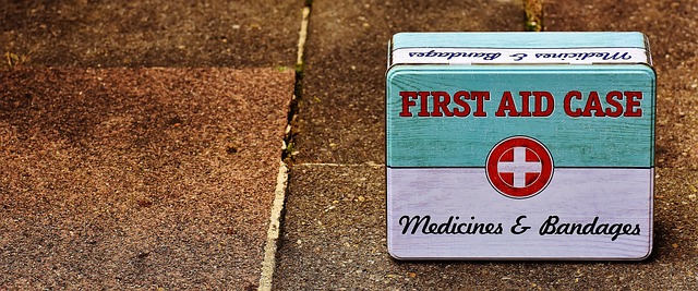 LOGÍSTICA SANITARIA ANTE CATÁSTROFES Flo Formación