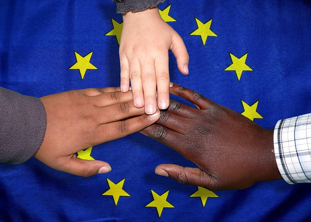 INTERVENCIÓN SOCIAL PARA LA INMIGRACIÓN (RIS) Flo Formación