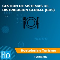 GESTION DE SISTEMAS DE DISTRIBUCION GLOBAL (GDS) Flo Formación