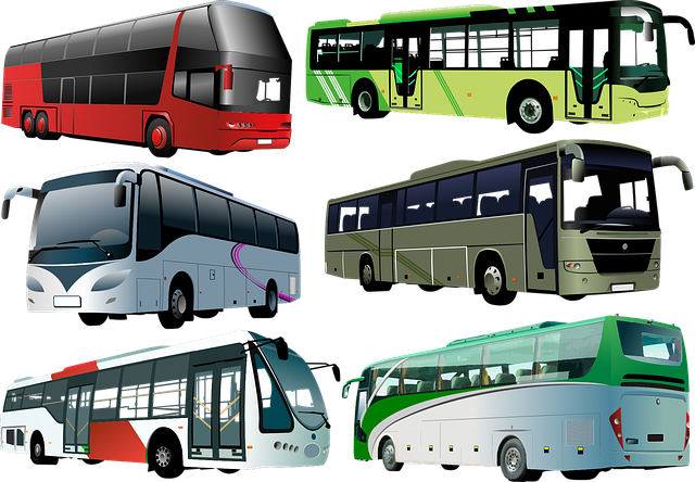 DOCUMENTACIÓN EN TRANSPORTE DE VIAJEROS Flo Formación