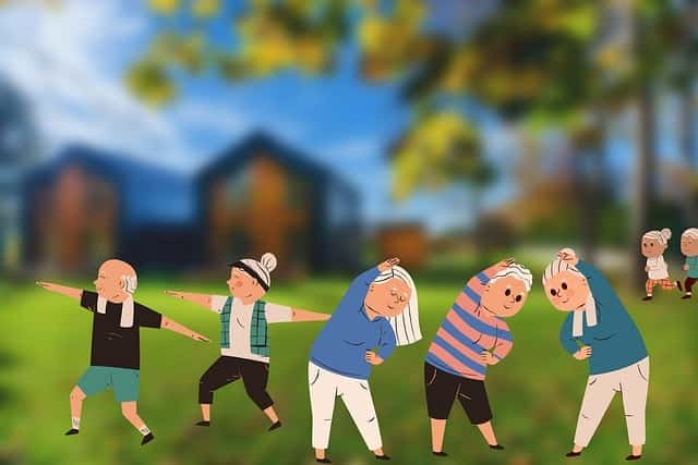 APOYO EN LA ORGANIZACIÓN DE ACTIVIDADES PARA PERSONAS DEPENDIENTES EN INSTITUCIONES Flo Formación