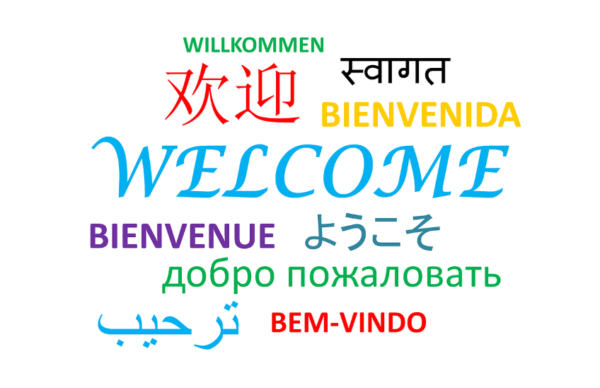 IDIOMAS Flo Formación