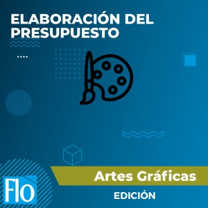ELABORACIÓN DEL PRESUPUESTO Flo Formación