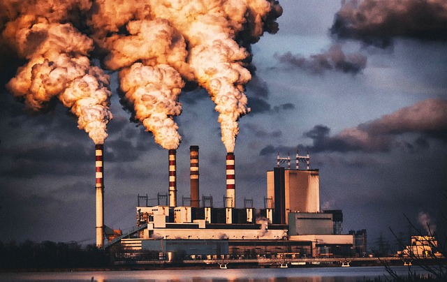 Evaluación de Impacto Ambiental Flo Formación