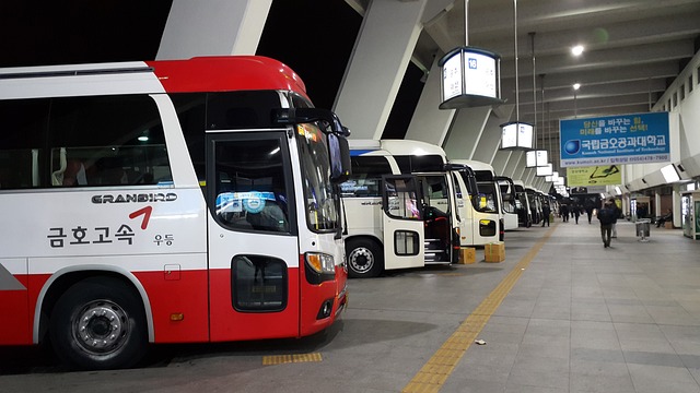 GESTIÓN, CONTROL Y CALIDAD EN EL SERVICIO DE TRANSPORTE DE VIAJEROS POR CARRETERA Flo Formación