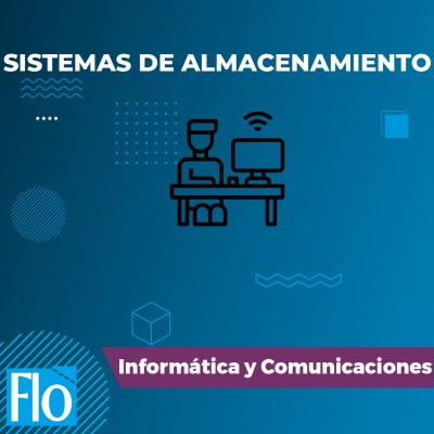 SISTEMAS DE ALMACENAMIENTO Flo Formación
