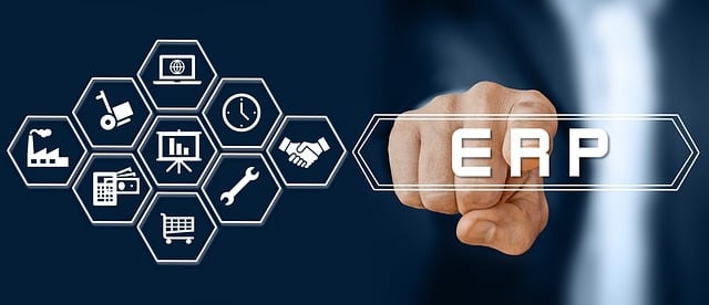 ADMINISTRACIÓN DEL GESTOR DE DATOS EN SISTEMAS ERP-CRM Flo Formación