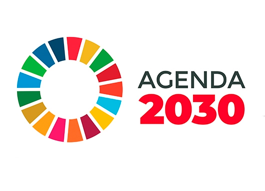AGENDA 2030 Flo Formación