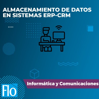 ALMACENAMIENTO DE DATOS EN SISTEMAS ERP-CRM Flo Formación