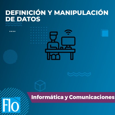 DEFINICIÓN Y MANIPULACIÓN DE DATOS Flo Formación