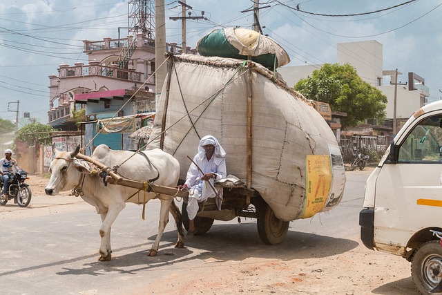 ESTIBA Y SUJECIÓN DE LAS MERCANCÍAS Flo Formación