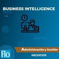 BUSINESS INTELLIGENCE Flo Formación